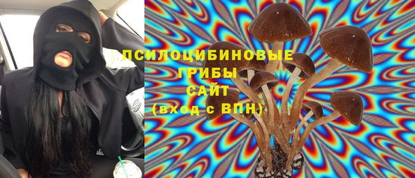 сатива Алексеевка