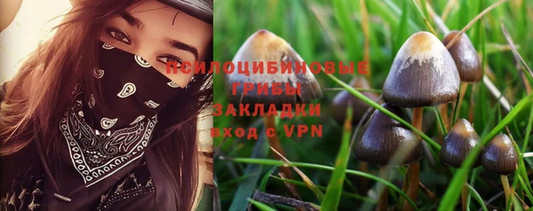 mdpv Алексин