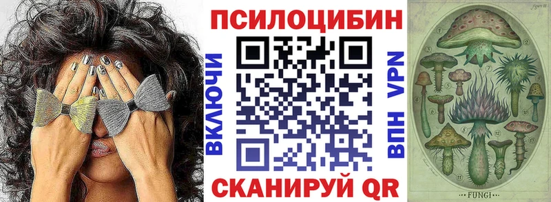 где можно купить наркотик mega рабочий сайт Галлюциногенные грибы Cubensis Нижний Ломов